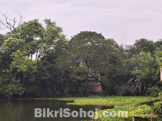 House with Land in Bhaluka for Sale